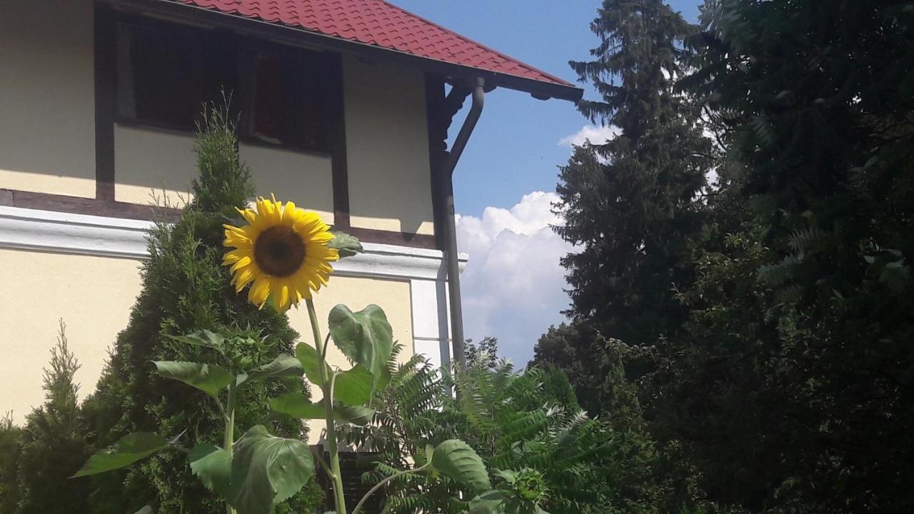 Penzion Pod Orechom Turčianske Teplice Dış mekan fotoğraf