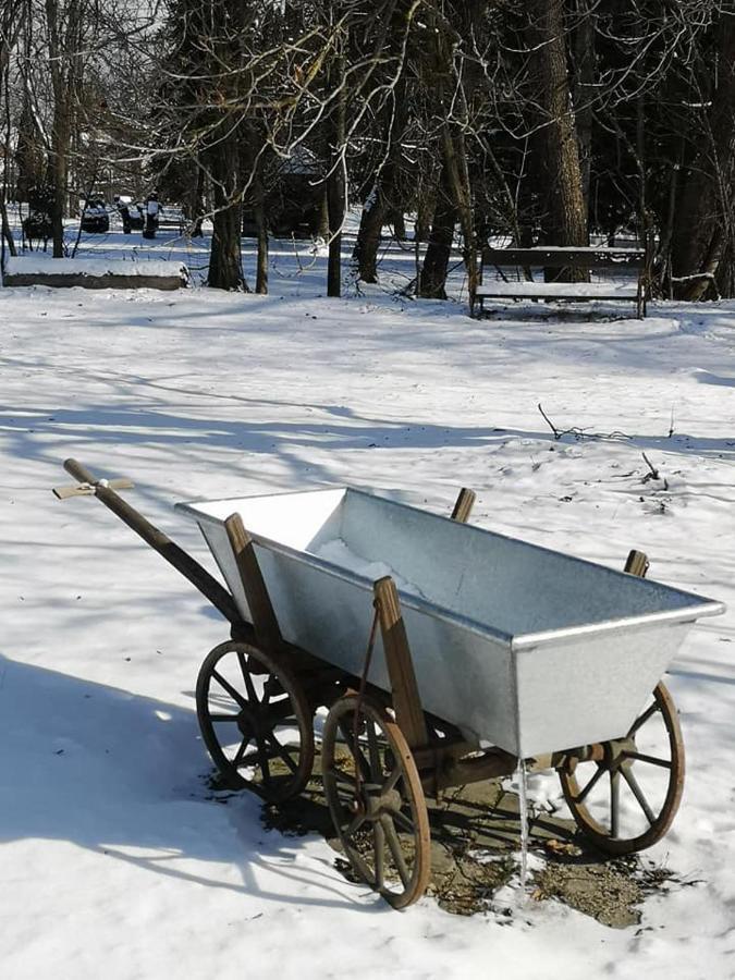 Penzion Pod Orechom Turčianske Teplice Dış mekan fotoğraf