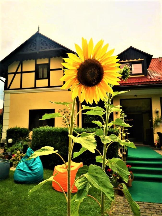 Penzion Pod Orechom Turčianske Teplice Dış mekan fotoğraf